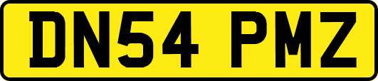 DN54PMZ