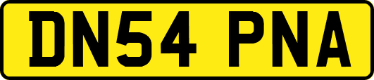 DN54PNA