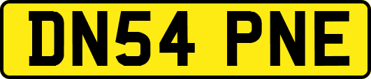 DN54PNE