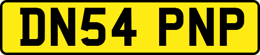 DN54PNP
