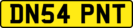 DN54PNT