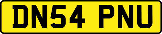 DN54PNU
