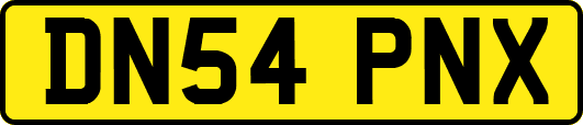 DN54PNX