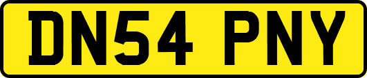 DN54PNY