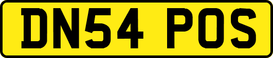 DN54POS