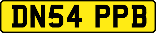 DN54PPB