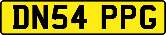 DN54PPG