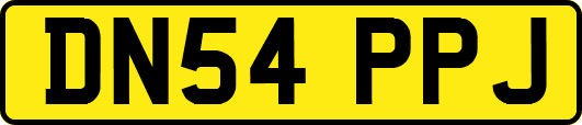 DN54PPJ