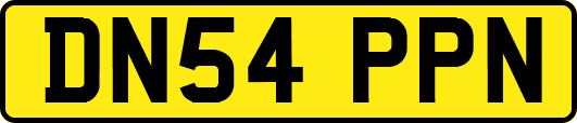 DN54PPN