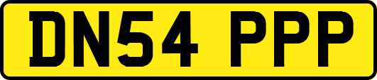DN54PPP