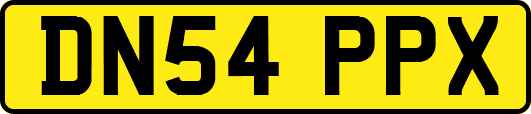 DN54PPX
