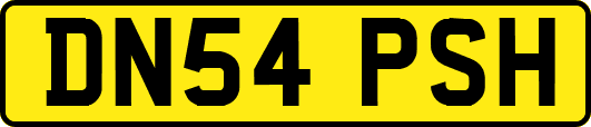 DN54PSH