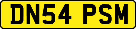 DN54PSM