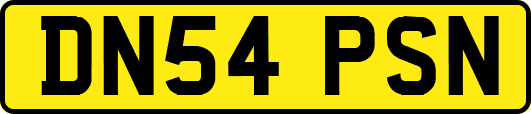 DN54PSN