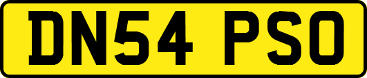 DN54PSO