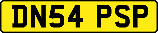 DN54PSP