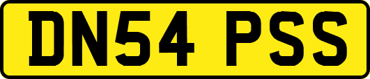 DN54PSS