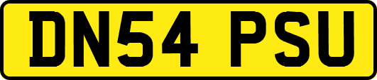 DN54PSU