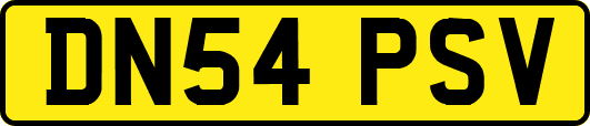 DN54PSV