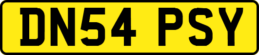 DN54PSY