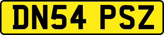 DN54PSZ