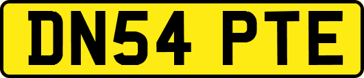 DN54PTE