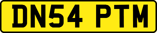 DN54PTM