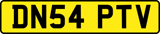 DN54PTV