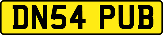 DN54PUB