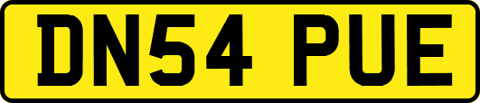 DN54PUE