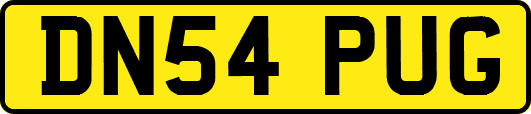 DN54PUG