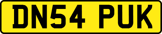 DN54PUK