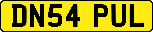 DN54PUL
