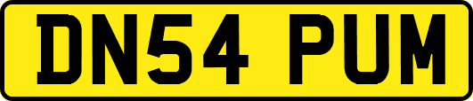 DN54PUM