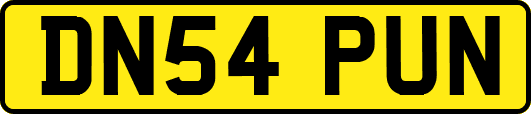 DN54PUN