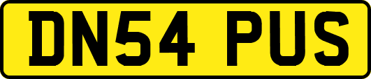 DN54PUS