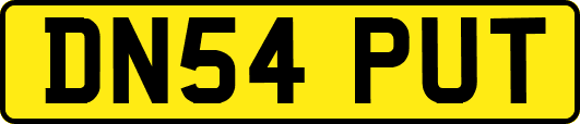 DN54PUT