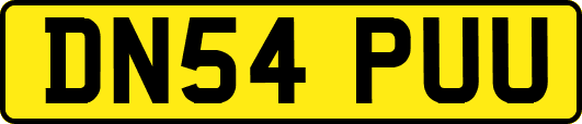 DN54PUU