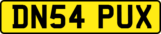 DN54PUX