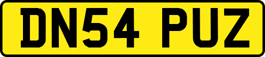 DN54PUZ