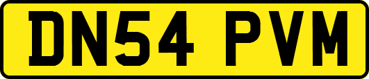 DN54PVM