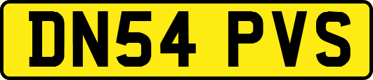 DN54PVS