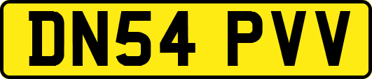 DN54PVV