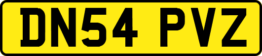 DN54PVZ