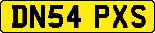 DN54PXS