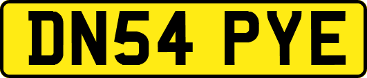 DN54PYE