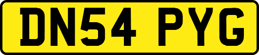 DN54PYG