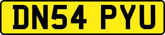 DN54PYU