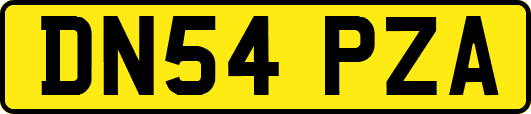 DN54PZA