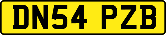 DN54PZB